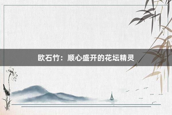 欧石竹：顺心盛开的花坛精灵