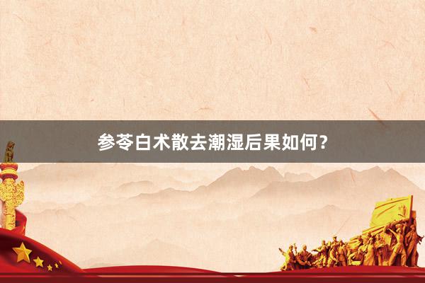 参苓白术散去潮湿后果如何？