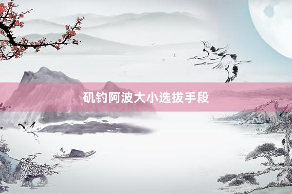 矶钓阿波大小选拔手段